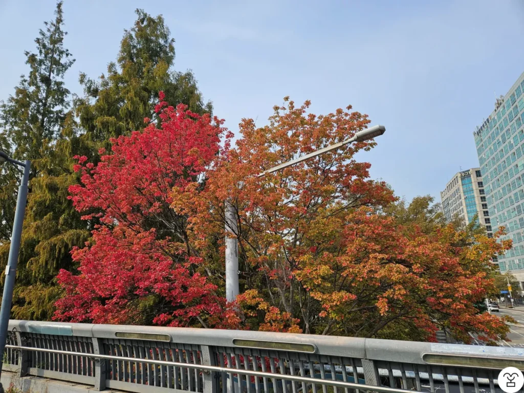 On the overpass leading to Goyang Ilsan Lake Park