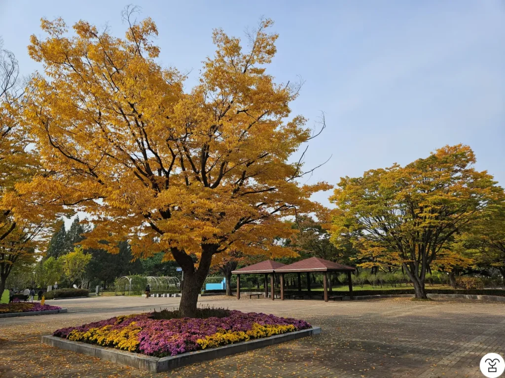 Goyang Ilsan Lake Park