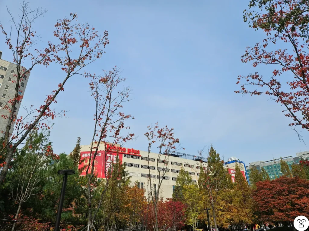 Homeplus Ilsan Branch