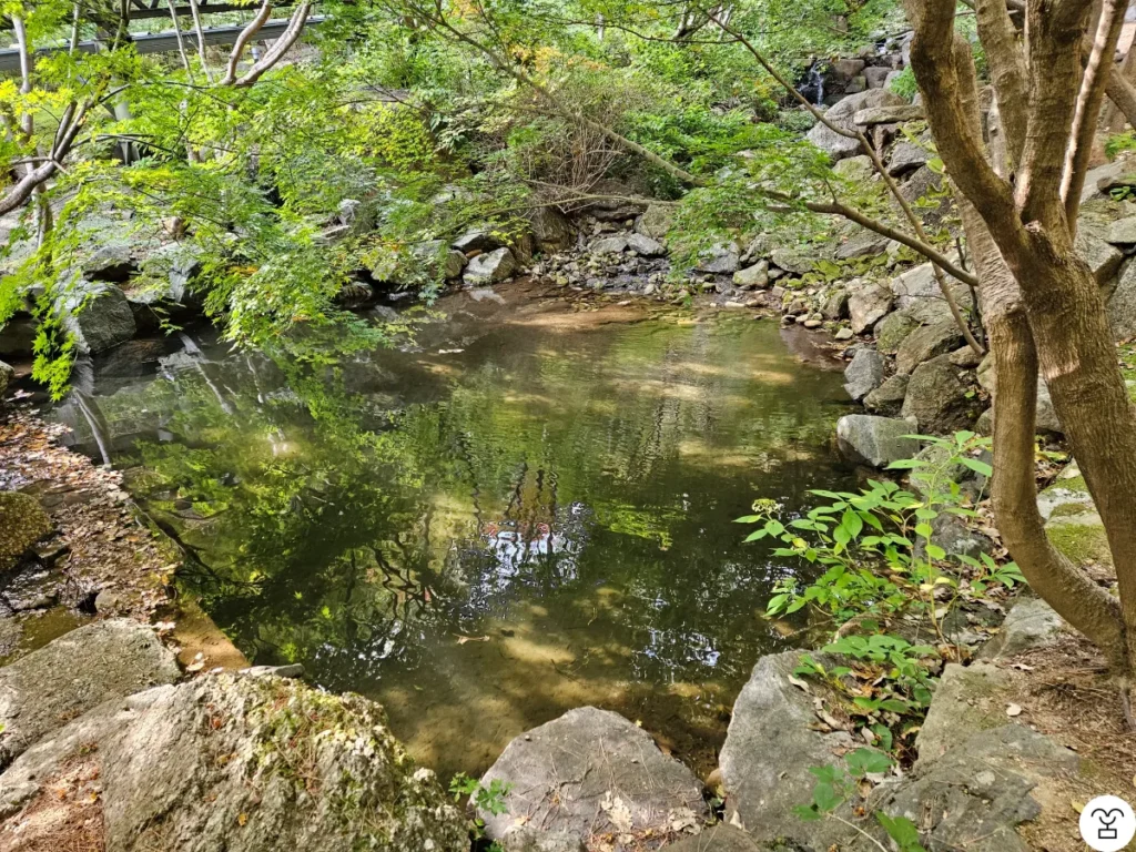 There probably won’t be any fish.