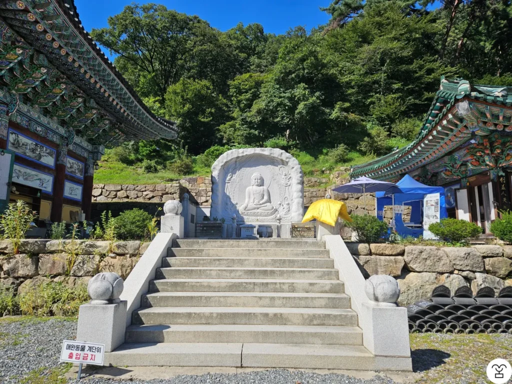 Who arranged the golden cushion like this?