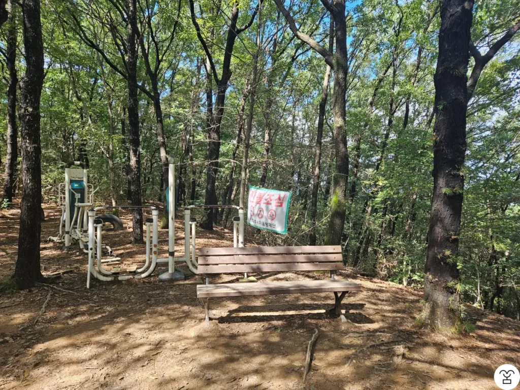 Once you come up this far along the middle trail, the steep incline is over.