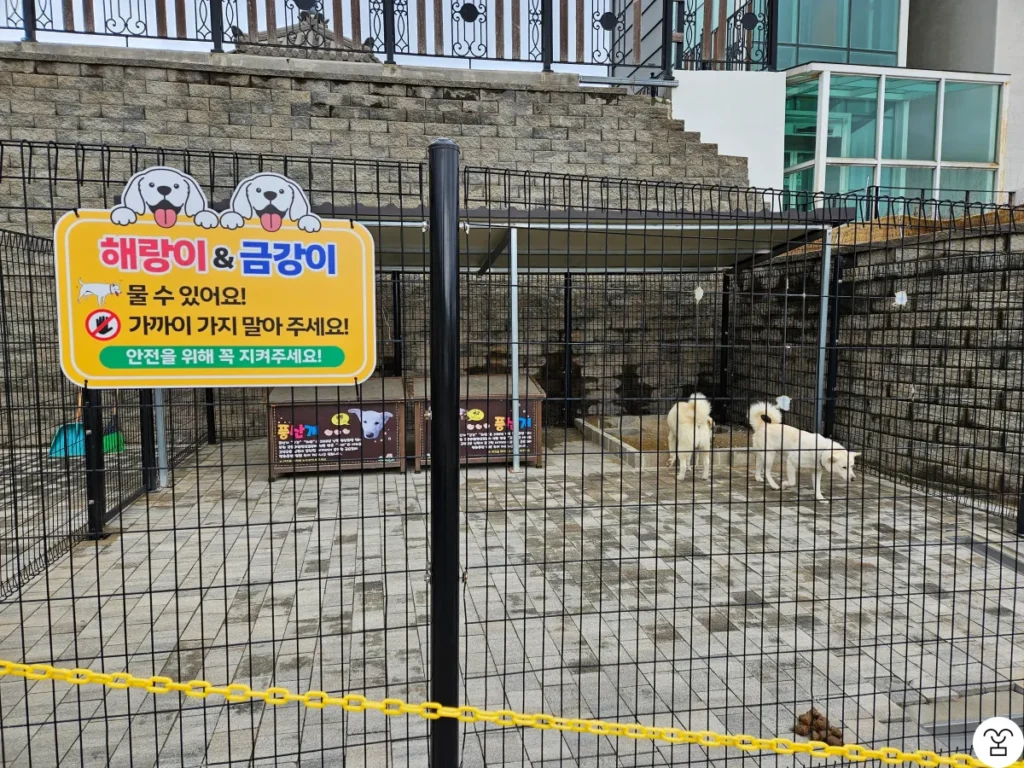 Haerangi and Geumgangi