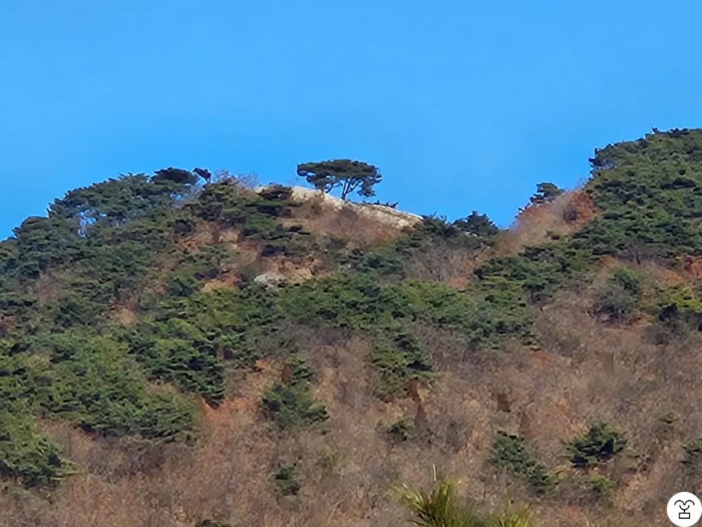 There is a spot that looks like the summit. It is not the actual summit.