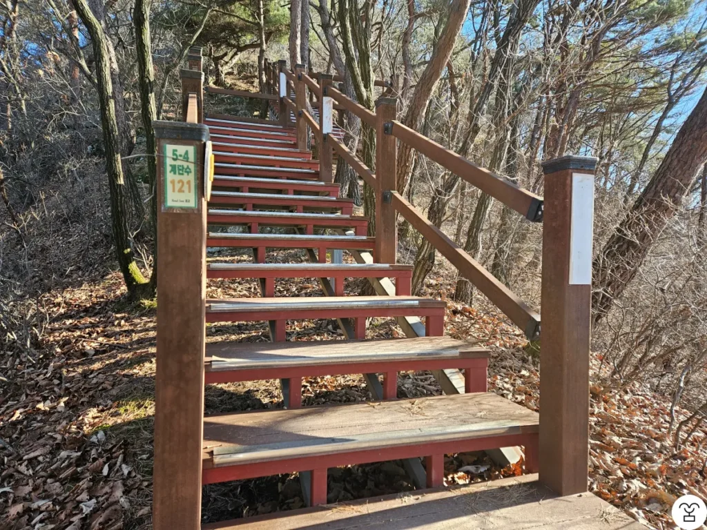 Start of the fourth section of wooden stairs