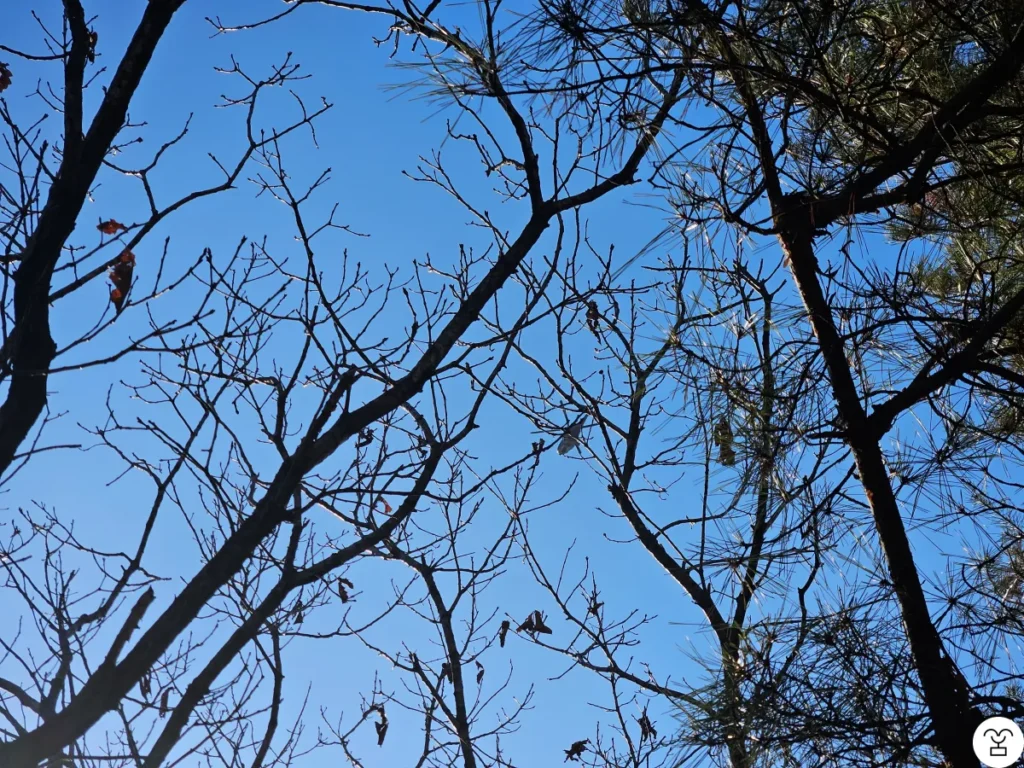 A helicopter circled overhead. The reason is unknown.
Try to spot the helicopter.