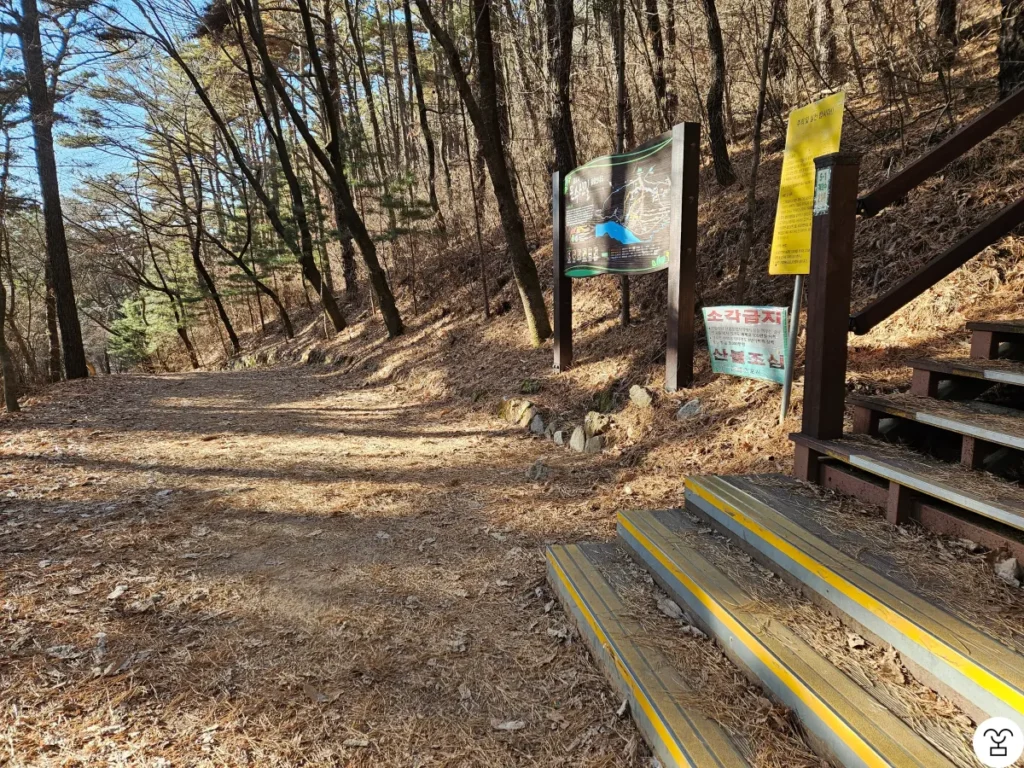 Trail 1 starts with stairs.