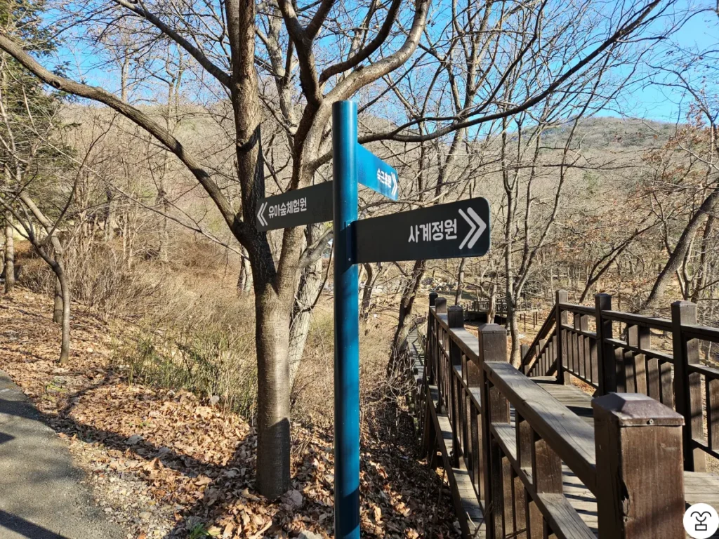 Let’s go toward the Children’s Forest Experience Area.