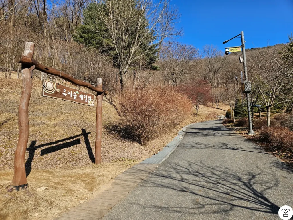 The Children’s Forest Experience Area is on the left. Pass it and go straight!