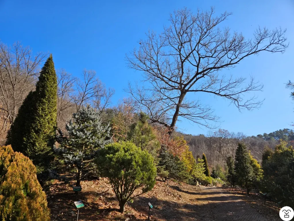 You can see trees here. Let’s not go this way.