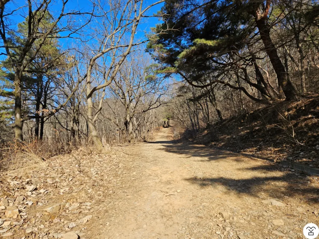 When you see this path, just keep going straight.